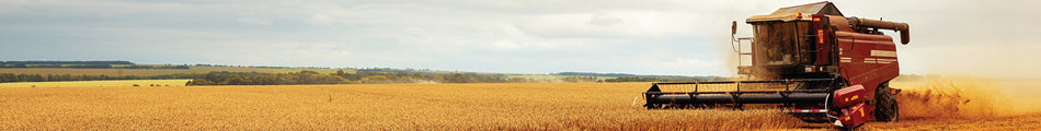 Combine harvester, harvesting wheat