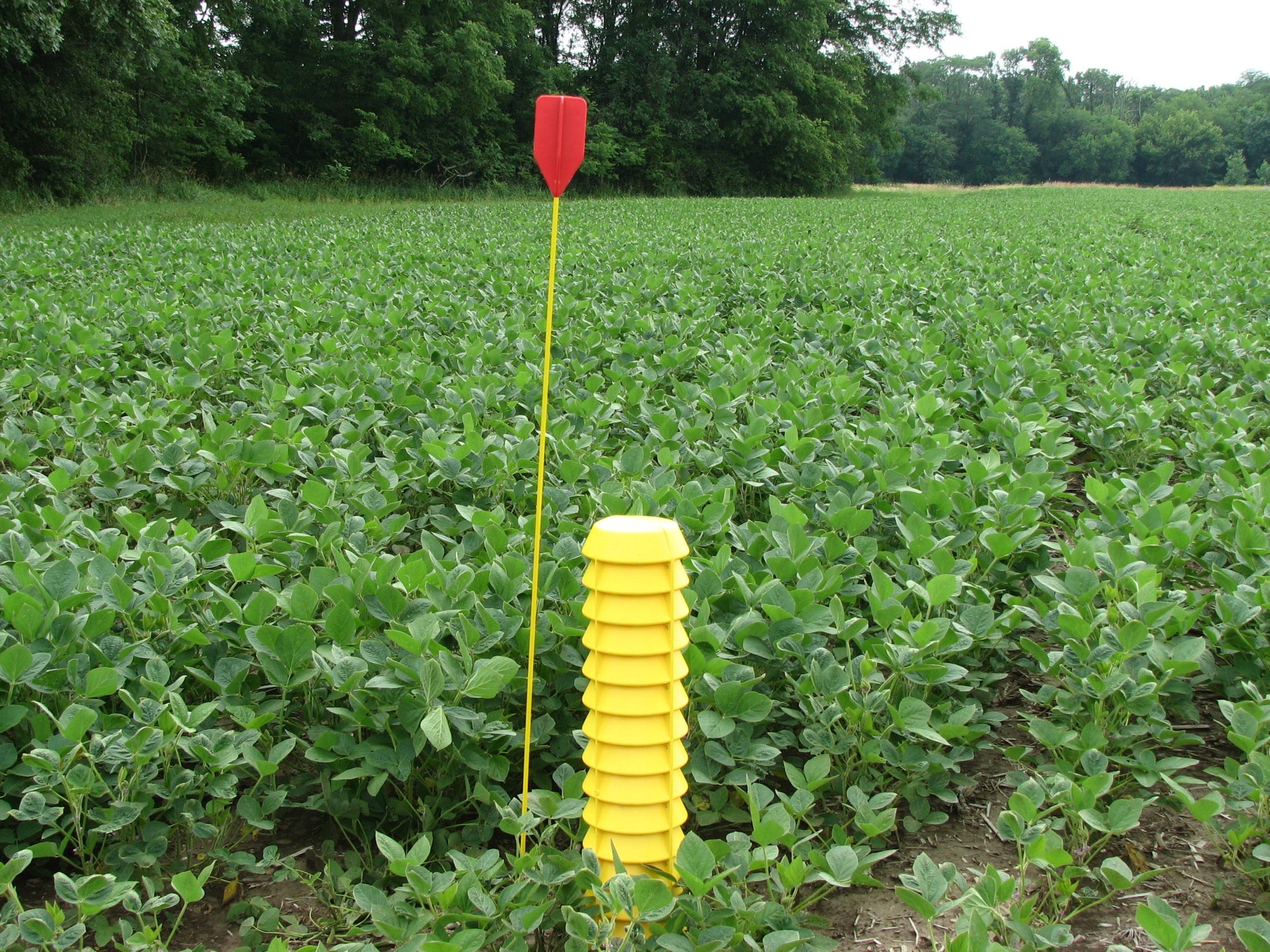 Marker Flags